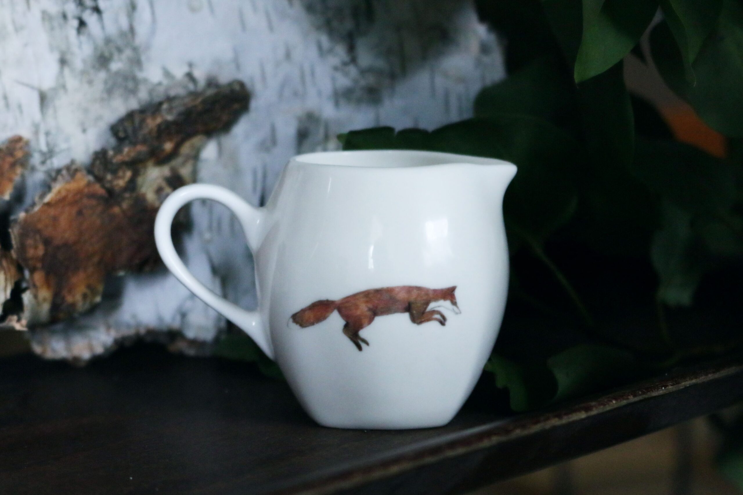 mlecznik LIS (niska cena na start!)