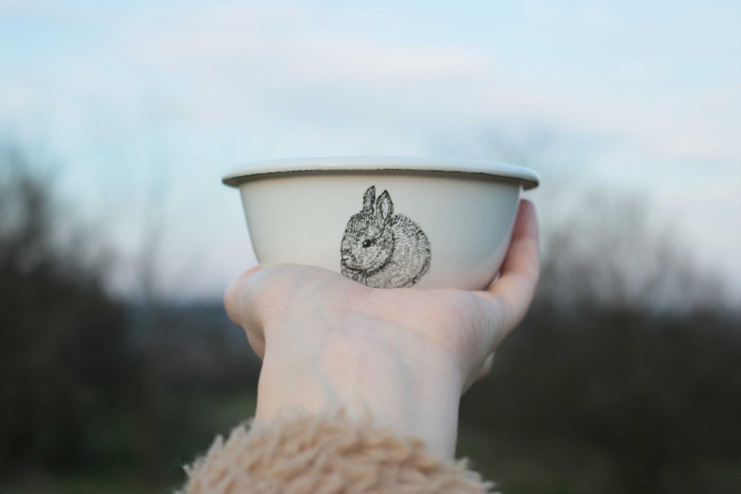 Emaliowana miska Rabbit