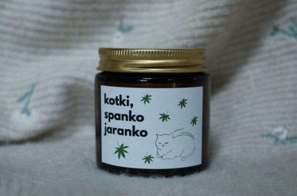 świeca Kotki Spanko Jaranko